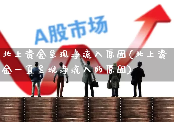 北上资金呈现净流入原因(北上资金一直呈现净流入的原因)_https://www.haiwangdasha.com_北交所_第1张