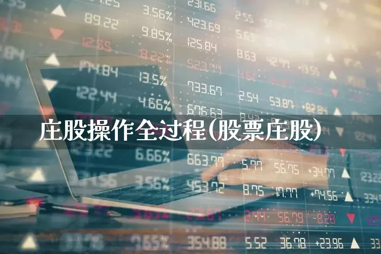 庄股操作全过程(股票庄股)_https://www.haiwangdasha.com_上交所_第1张
