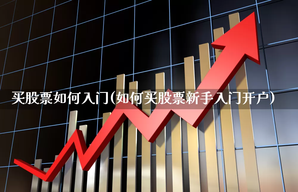 买股票如何入门(如何买股票新手入门开户)_https://www.haiwangdasha.com_深交所_第1张
