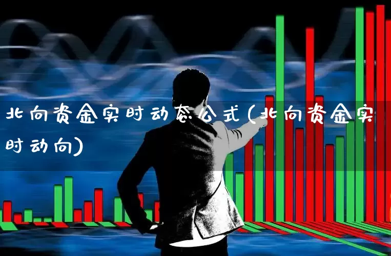 北向资金实时动态公式(北向资金实时动向)_https://www.haiwangdasha.com_北交所_第1张