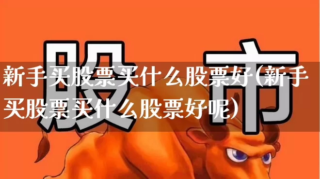 新手买股票买什么股票好(新手买股票买什么股票好呢)_https://www.haiwangdasha.com_科创板_第1张