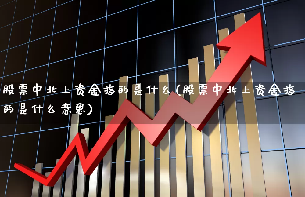 股票中北上资金指的是什么(股票中北上资金指的是什么意思)_https://www.haiwangdasha.com_创业板_第1张