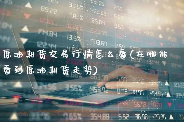 原油期货交易行情怎么看(在哪能看到原油期货走势)_https://www.haiwangdasha.com_大商所_第1张