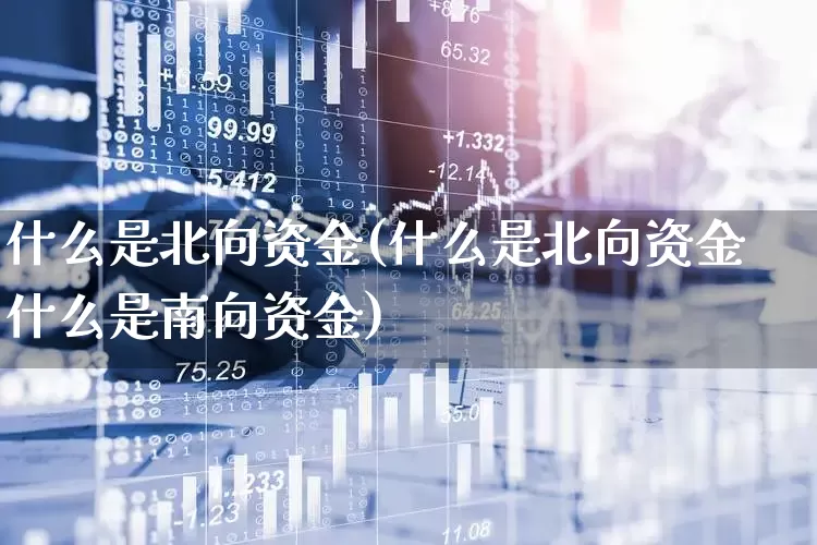 什么是北向资金(什么是北向资金什么是南向资金)_https://www.haiwangdasha.com_北交所_第1张