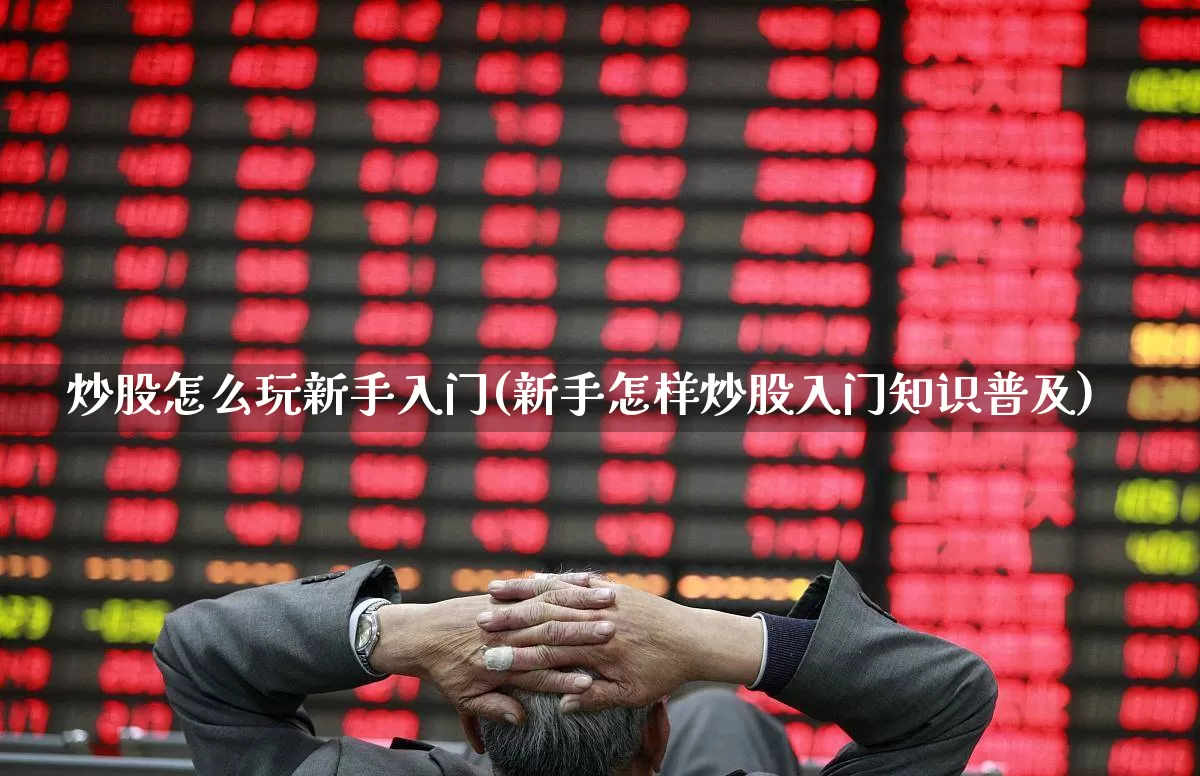 炒股怎么玩新手入门(新手怎样炒股入门知识普及)_https://www.haiwangdasha.com_上交所_第1张