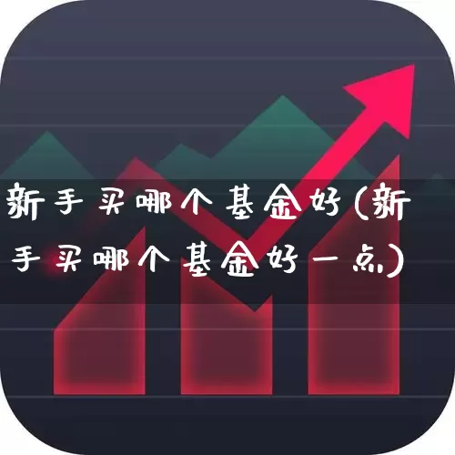 新手买哪个基金好(新手买哪个基金好一点)_https://www.haiwangdasha.com_北交所_第1张