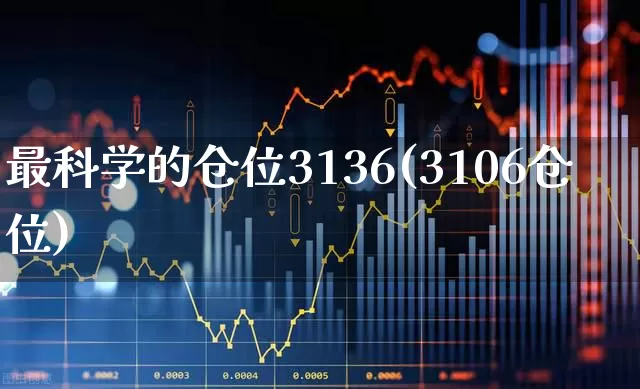 最科学的仓位3136(3106仓位)_https://www.haiwangdasha.com_上交所_第1张