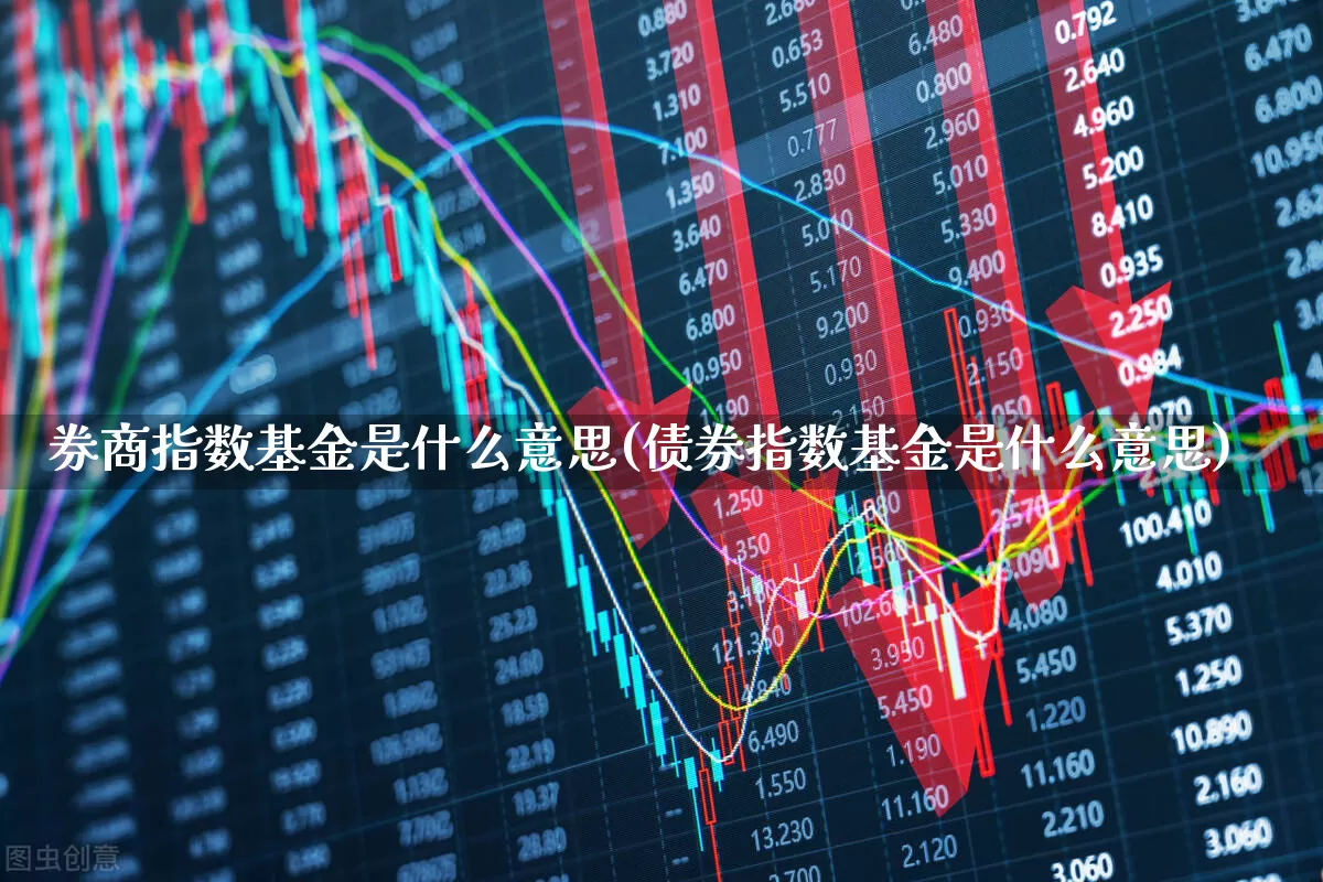 券商指数基金是什么意思(债券指数基金是什么意思)_https://www.haiwangdasha.com_上期能源_第1张