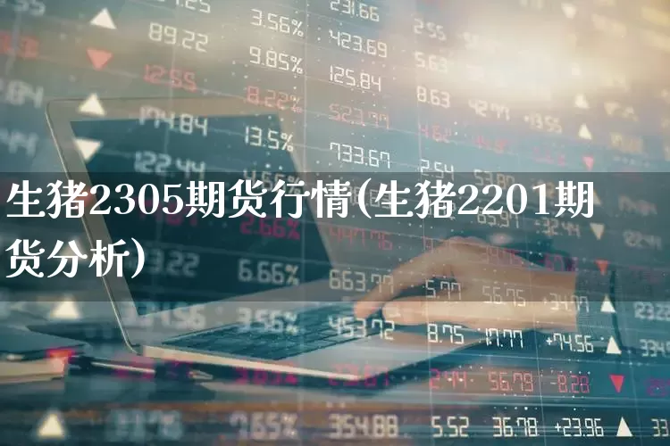 生猪2305期货行情(生猪2201期货分析)_https://www.haiwangdasha.com_广期所_第1张