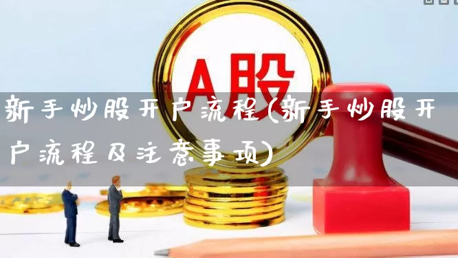 新手炒股开户流程(新手炒股开户流程及注意事项)_https://www.haiwangdasha.com_创业板_第1张