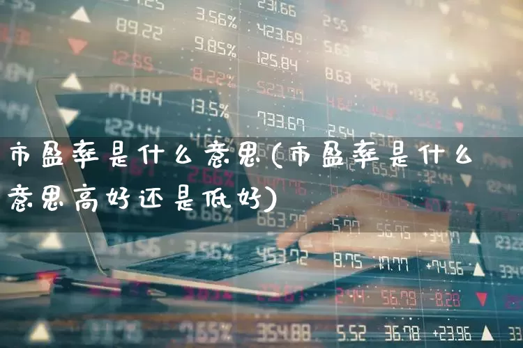 市盈率是什么意思(市盈率是什么意思高好还是低好)_https://www.haiwangdasha.com_上交所_第1张