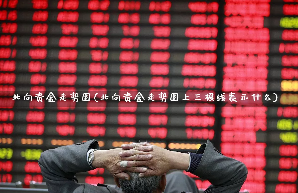 北向资金走势图(北向资金走势图上三根线表示什么)_https://www.haiwangdasha.com_科创板_第1张
