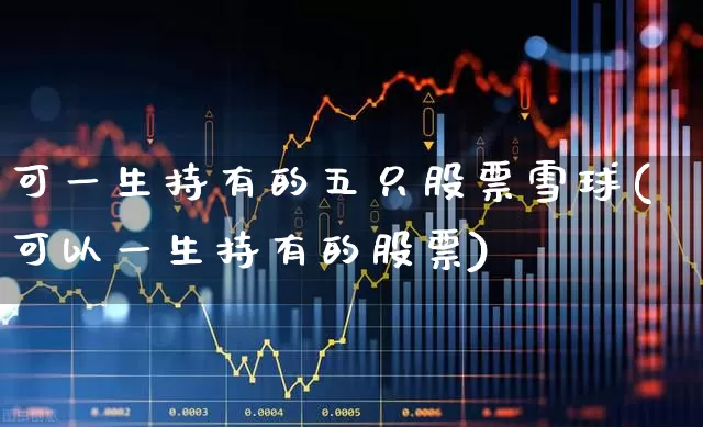 可一生持有的五只股票雪球(可以一生持有的股票)_https://www.haiwangdasha.com_科创板_第1张