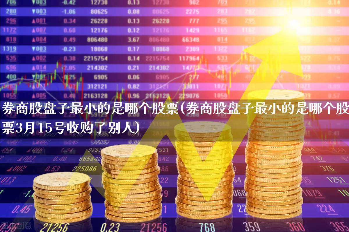 券商股盘子最小的是哪个股票(券商股盘子最小的是哪个股票3月15号收购了别人)_https://www.haiwangdasha.com_科创板_第1张