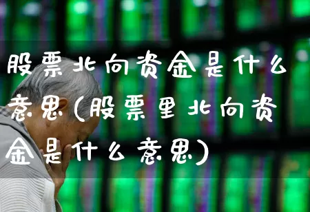 股票北向资金是什么意思(股票里北向资金是什么意思)_https://www.haiwangdasha.com_创业板_第1张