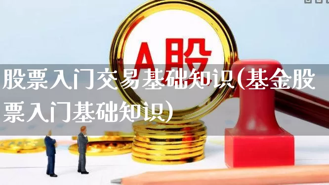 股票入门交易基础知识(基金股票入门基础知识)_https://www.haiwangdasha.com_北交所_第1张