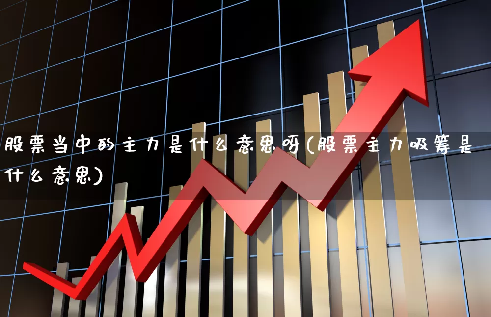 股票当中的主力是什么意思呀(股票主力吸筹是什么意思)_https://www.haiwangdasha.com_科创板_第1张