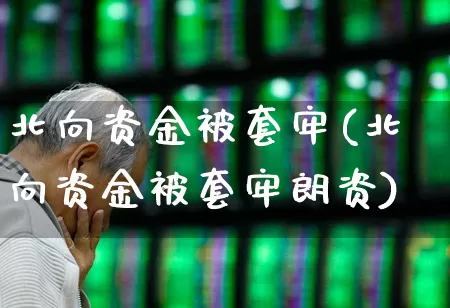 北向资金被套牢(北向资金被套牢朗资)_https://www.haiwangdasha.com_创业板_第1张
