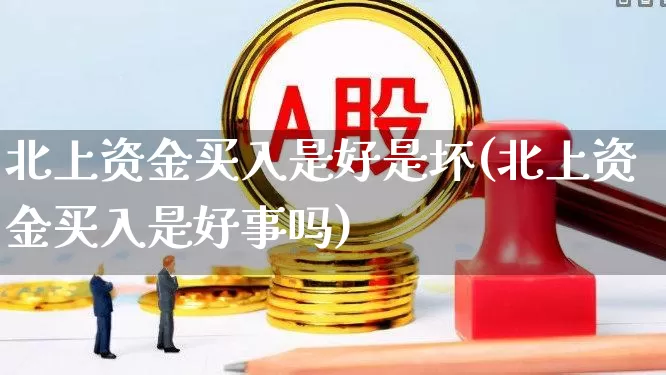 北上资金买入是好是坏(北上资金买入是好事吗)_https://www.haiwangdasha.com_深交所_第1张