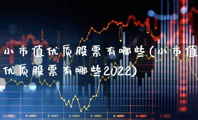 小市值优质股票有哪些(小市值优质股票有哪些2022)_https://www.haiwangdasha.com_上交所_第1张
