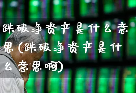 跌破净资产是什么意思(跌破净资产是什么意思啊)_https://www.haiwangdasha.com_上交所_第1张