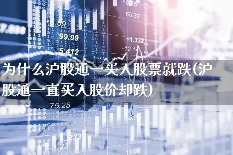 为什么沪股通一买入股票就跌(沪股通一直买入股价却跌)_https://www.haiwangdasha.com_北交所_第1张