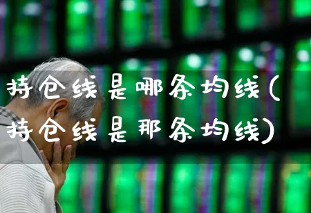 持仓线是哪条均线(持仓线是那条均线)_https://www.haiwangdasha.com_深交所_第1张