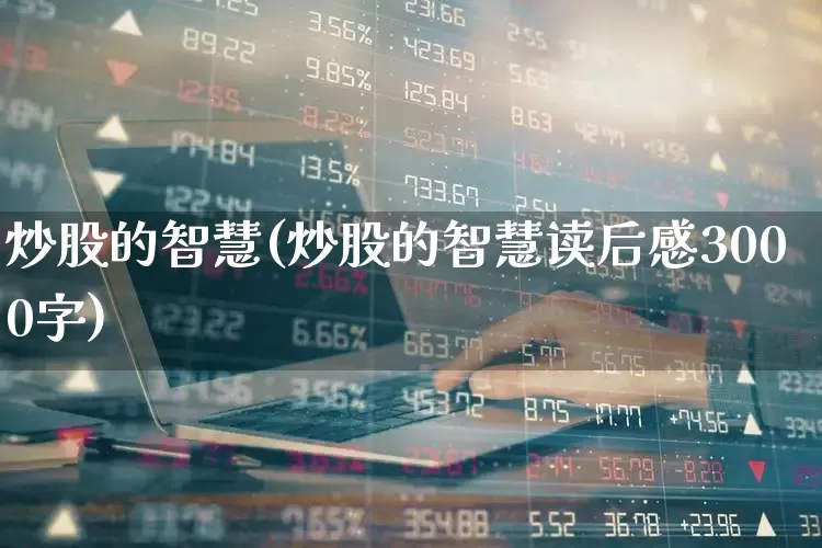 炒股的智慧(炒股的智慧读后感3000字)_https://www.haiwangdasha.com_北交所_第1张
