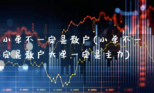 小单不一定是散户(小单不一定是散户大单一定是主力)_https://www.haiwangdasha.com_创业板_第1张