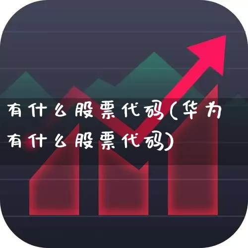 有什么股票代码(华为有什么股票代码)_https://www.haiwangdasha.com_深交所_第1张