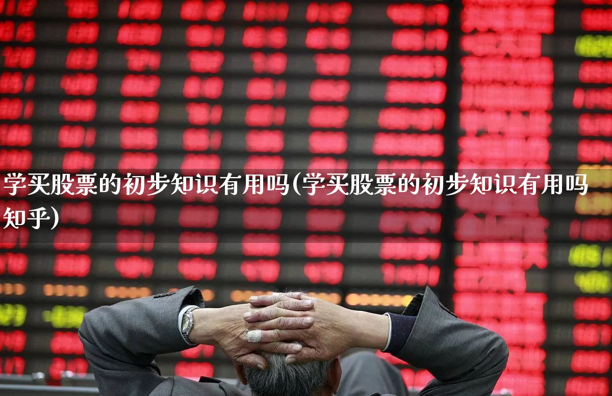 学买股票的初步知识有用吗(学买股票的初步知识有用吗知乎)_https://www.haiwangdasha.com_上期所_第1张