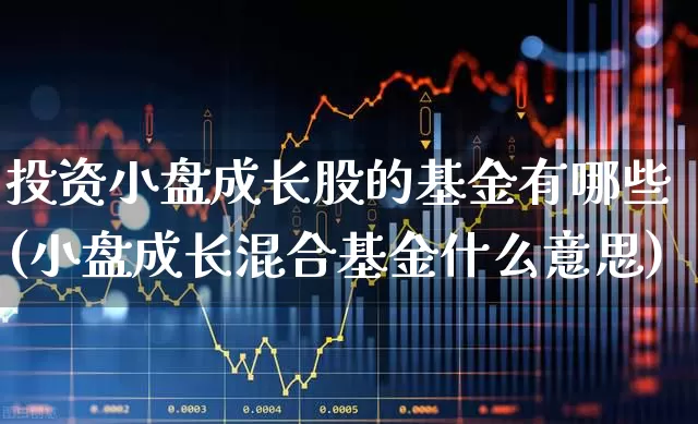 投资小盘成长股的基金有哪些(小盘成长混合基金什么意思)_https://www.haiwangdasha.com_深交所_第1张