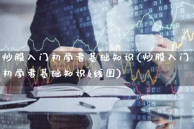 炒股入门初学者基础知识(炒股入门初学者基础知识k线图)_https://www.haiwangdasha.com_深交所_第1张