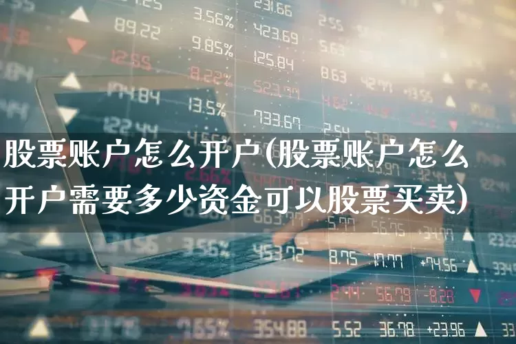 股票账户怎么开户(股票账户怎么开户需要多少资金可以股票买卖)_https://www.haiwangdasha.com_上交所_第1张