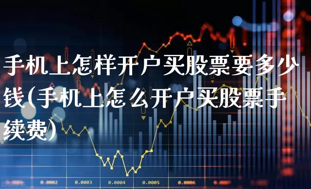 手机上怎样开户买股票要多少钱(手机上怎么开户买股票手续费)_https://www.haiwangdasha.com_创业板_第1张