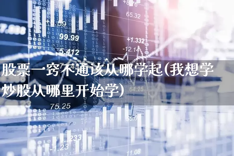 股票一窍不通该从哪学起(我想学炒股从哪里开始学)_https://www.haiwangdasha.com_科创板_第1张