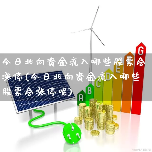 今日北向资金流入哪些股票会涨停(今日北向资金流入哪些股票会涨停呢)_https://www.haiwangdasha.com_北交所_第1张