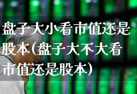 盘子大小看市值还是股本(盘子大不大看市值还是股本)_https://www.haiwangdasha.com_科创板_第1张