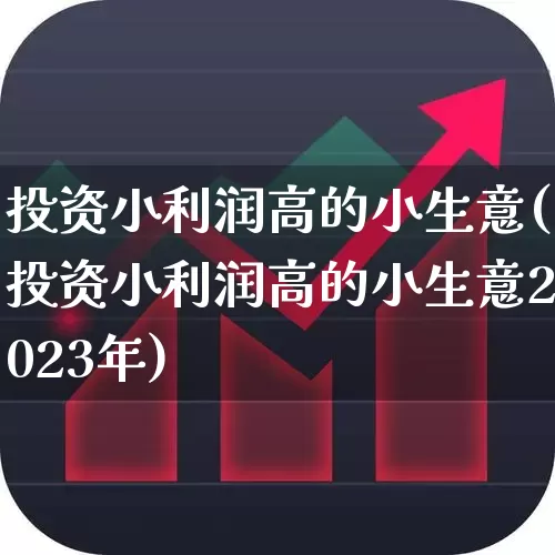 投资小利润高的小生意(投资小利润高的小生意2023年)_https://www.haiwangdasha.com_深交所_第1张