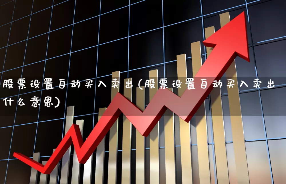 股票设置自动买入卖出(股票设置自动买入卖出什么意思)_https://www.haiwangdasha.com_上交所_第1张