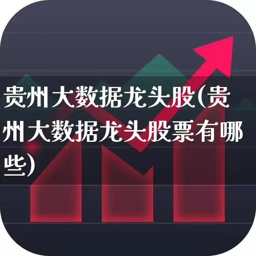 贵州大数据龙头股(贵州大数据龙头股票有哪些)_https://www.haiwangdasha.com_北交所_第1张