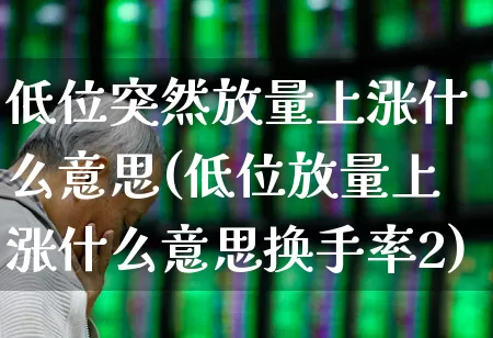 低位突然放量上涨什么意思(低位放量上涨什么意思换手率2)_https://www.haiwangdasha.com_科创板_第1张