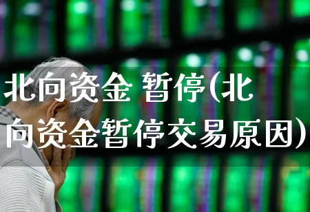 北向资金 暂停(北向资金暂停交易原因)_https://www.haiwangdasha.com_北交所_第1张
