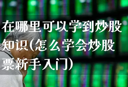 在哪里可以学到炒股知识(怎么学会炒股票新手入门)_https://www.haiwangdasha.com_创业板_第1张