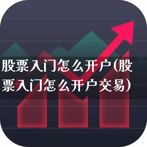 股票入门怎么开户(股票入门怎么开户交易)_https://www.haiwangdasha.com_北交所_第1张