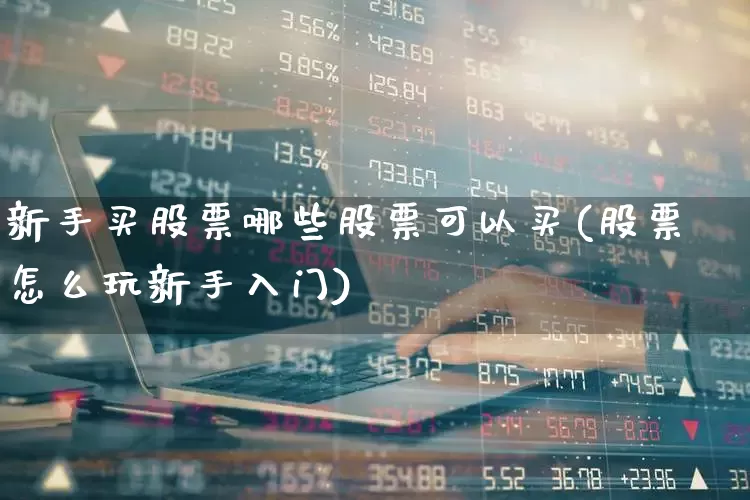 新手买股票哪些股票可以买(股票怎么玩新手入门)_https://www.haiwangdasha.com_创业板_第1张