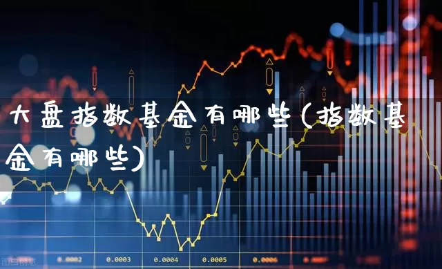 大盘指数基金有哪些(指数基金有哪些)_https://www.haiwangdasha.com_中金所_第1张