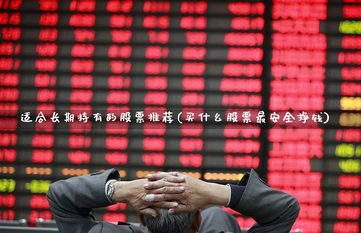 适合长期持有的股票推荐(买什么股票最安全挣钱)_https://www.haiwangdasha.com_上交所_第1张