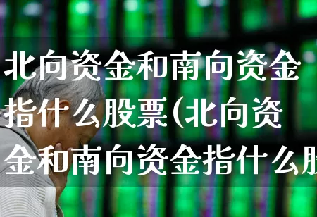 北向资金和南向资金指什么股票(北向资金和南向资金指什么股票呢)_https://www.haiwangdasha.com_北交所_第1张
