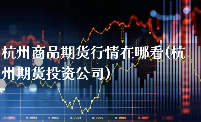 杭州商品期货行情在哪看(杭州期货投资公司)_https://www.haiwangdasha.com_大商所_第1张